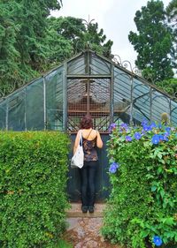 Rear view of woman looking at greenhouse entrance 