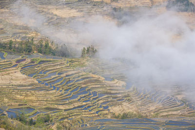 Aerial view of agricultural field