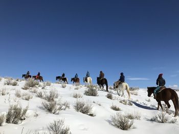 People horseback riding on snow covered landscape against clear blue sky