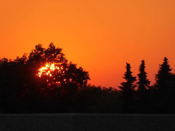 Silhouette trees against sky during sunset