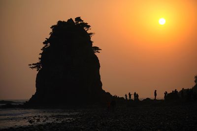 Silhouette of trees at sunset