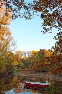 Scenic view of trees during autumn against sky