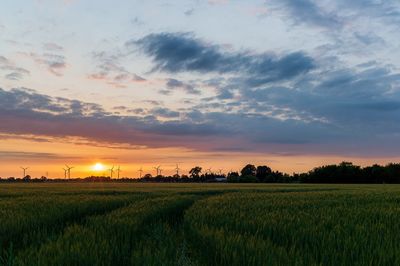 Scenic view of field against sky during sunset