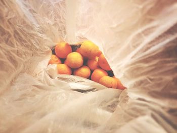 Close-up of orange fruits on bed