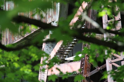 Low angle view of built structure by trees