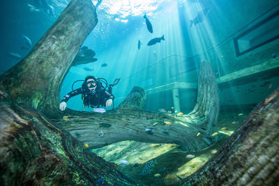 Man swimming in sea