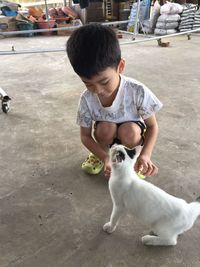 Smiling boy playing with cat on footpath