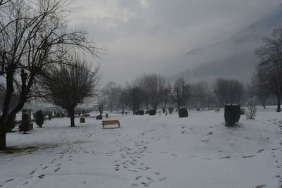 Trees on snow covered field against sky