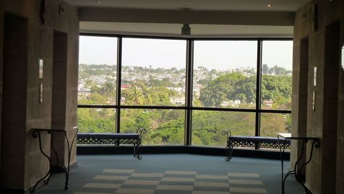 Trees seen through window