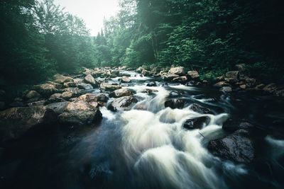 Scenic view of waterfall in forest