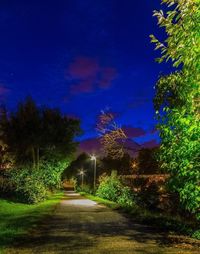 Empty road along trees