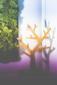 Close-up of text on glass window