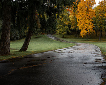 Road amidst trees in park during autumn