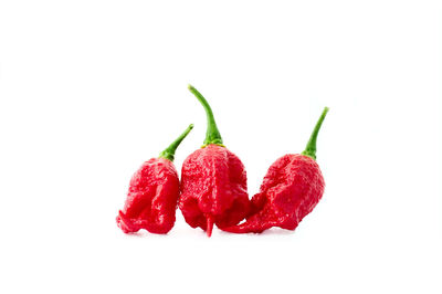 Close-up of red berries over white background