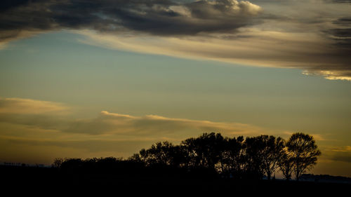 Silhouette of trees at sunset