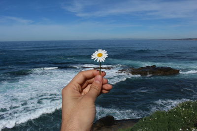 Cropped hand holding plant against sea