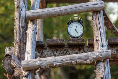 Close-up of clock hanging on tree