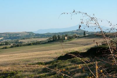 Scenic view of landscape against clear sky