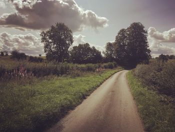 Road amidst trees on field against sky