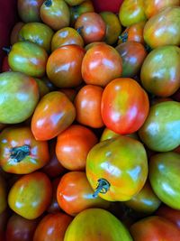 Tomatoes for sale in traditional market