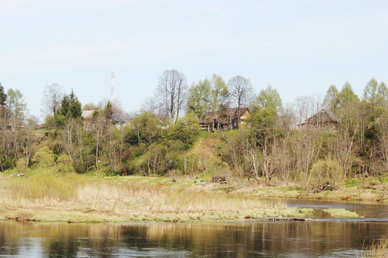 clear sky, water, tree, tranquility, tranquil scene, lake, waterfront, copy space, scenics, nature, reflection, beauty in nature, river, growth, non-urban scene, day, idyllic, landscape, calm, outdoors