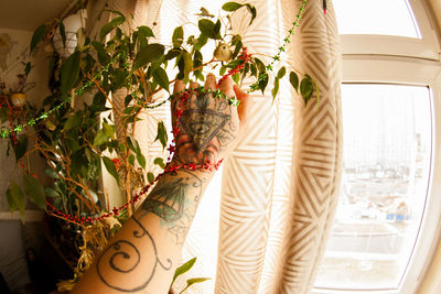 Potted plants on window sill