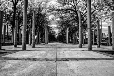 Bare trees against sky