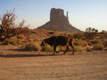 View of rocks on landscape