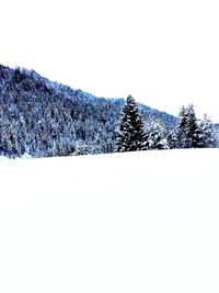 Scenic view of landscape against clear sky