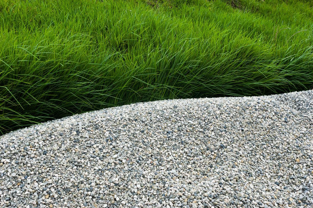 HIGH ANGLE VIEW OF STONES ON GRASS FIELD