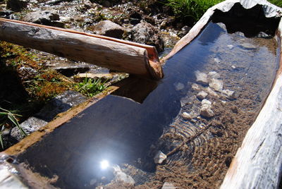 High angle view of wood