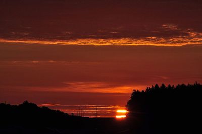 Silhouette trees by sea against orange sky during sunset