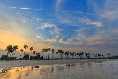 Palm trees by swimming pool against sky during sunset