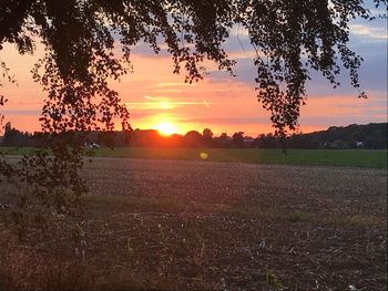 Scenic view of field against sky during sunset