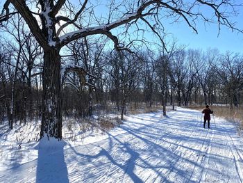 Bare trees on snowy field against sky during winter