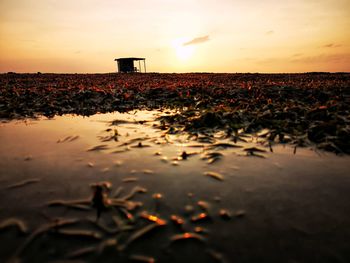 Surface level of beach against sky during sunset