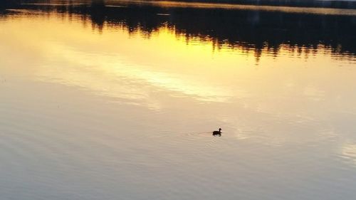 Scenic view of lake at sunset