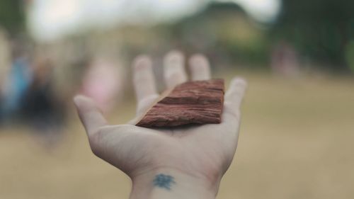 Close-up of cropped hand