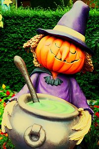 View of trees on field