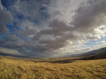 Scenic view of agricultural field against sky