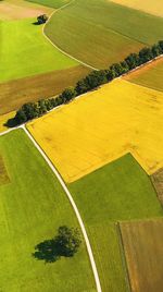 High angle view of agricultural field