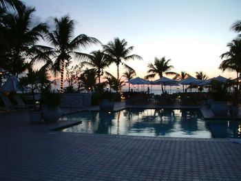 Palm trees in swimming pool against sky