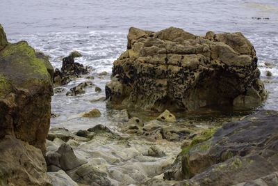 Rock formation on sea shore