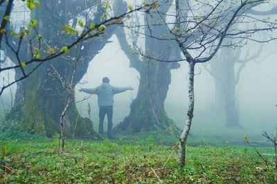 Man standing by tree trunk in foggy weather