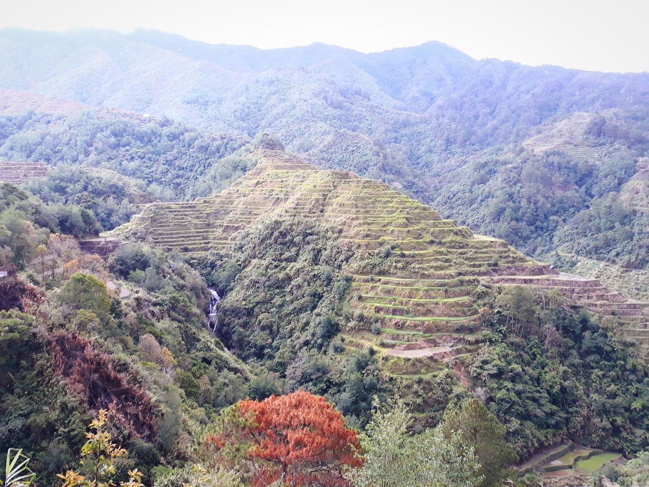 HIGH ANGLE VIEW OF TREES AND MOUNTAINS