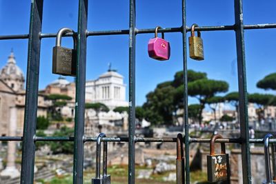 Close-up of padlocks on railing