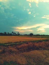 Scenic view of field against sky