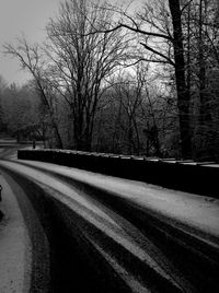 Empty road along bare trees