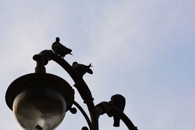 Low angle view of bird on street light against sky
