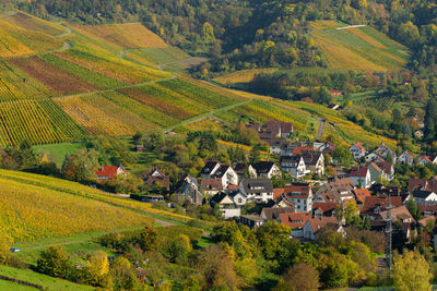 High angle view of trees and houses in village